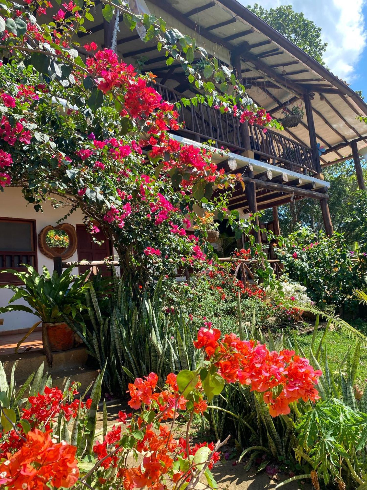 Hostal Villa San Rafael Barichara Eksteriør billede